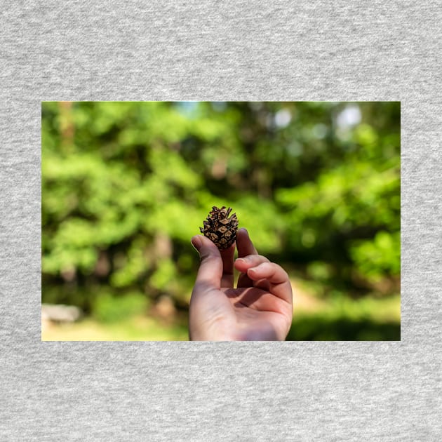 Hand holding pine cone by lena-maximova